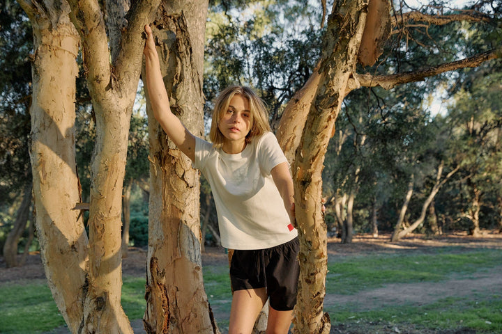 Everyday tees, singles and packs