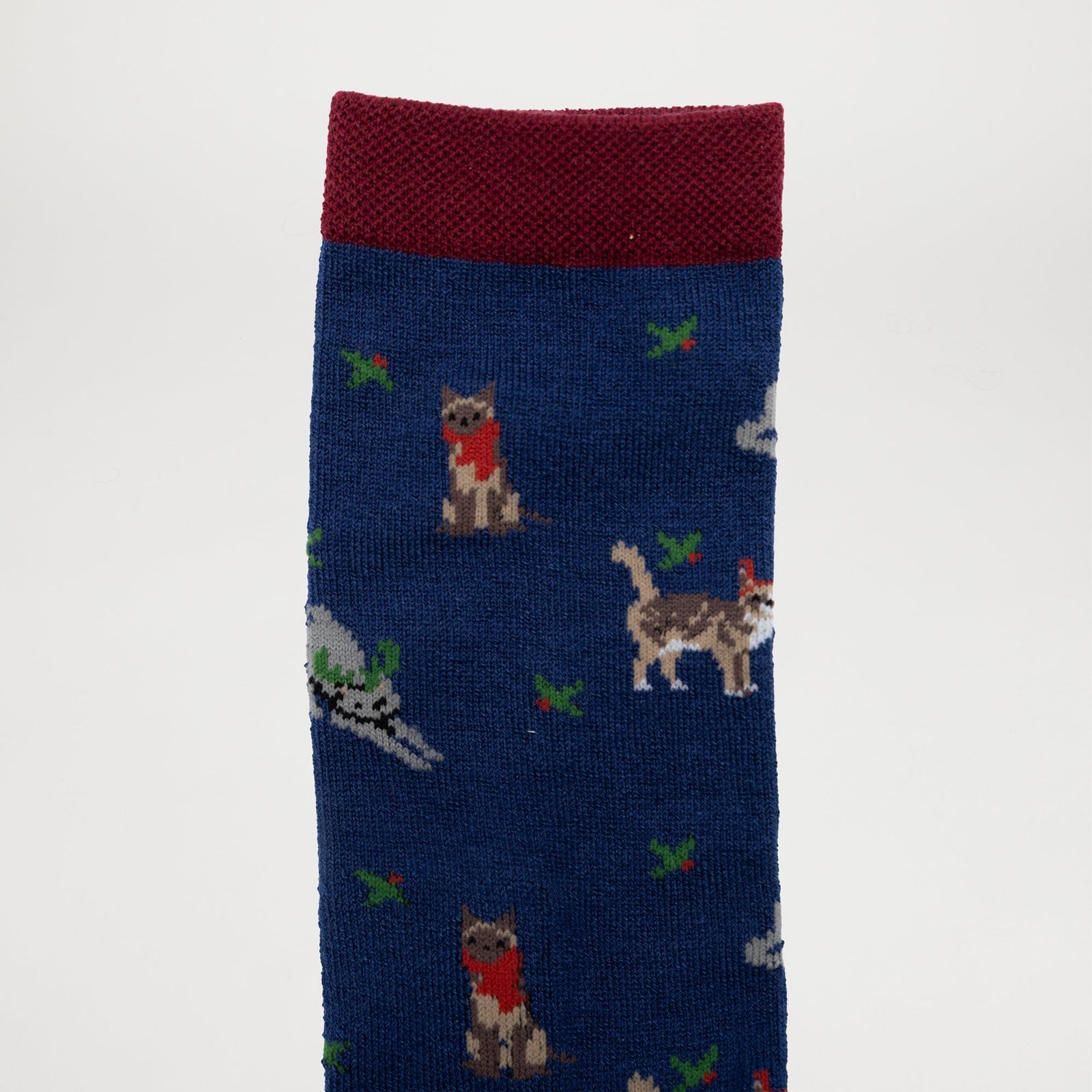 Lap Cat Collection Pack