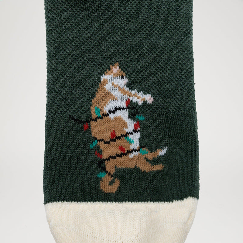 Lap Cat Collection Pack