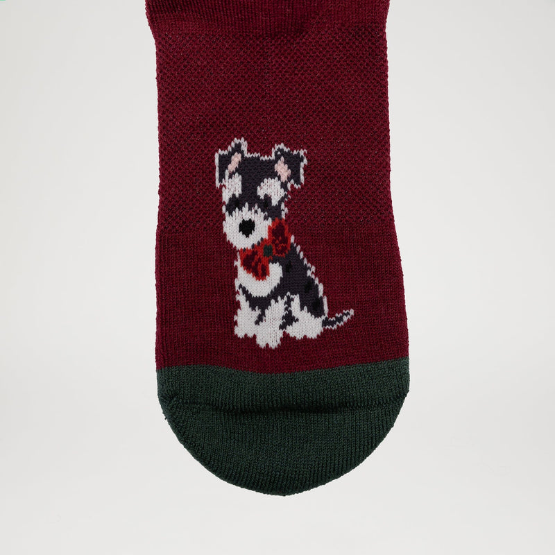 Best Mate Collection Pack