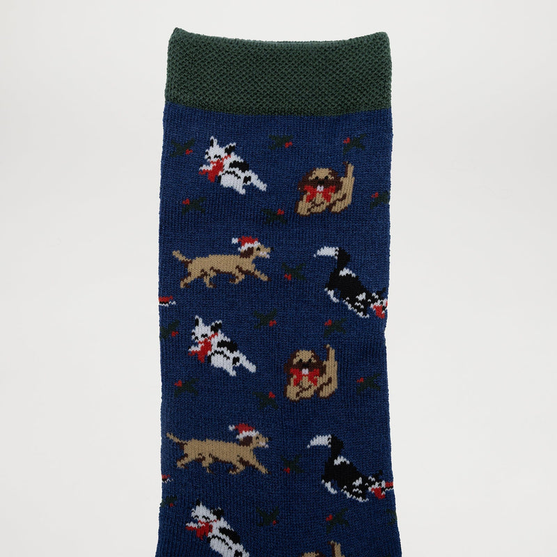 Best Mate Collection Pack