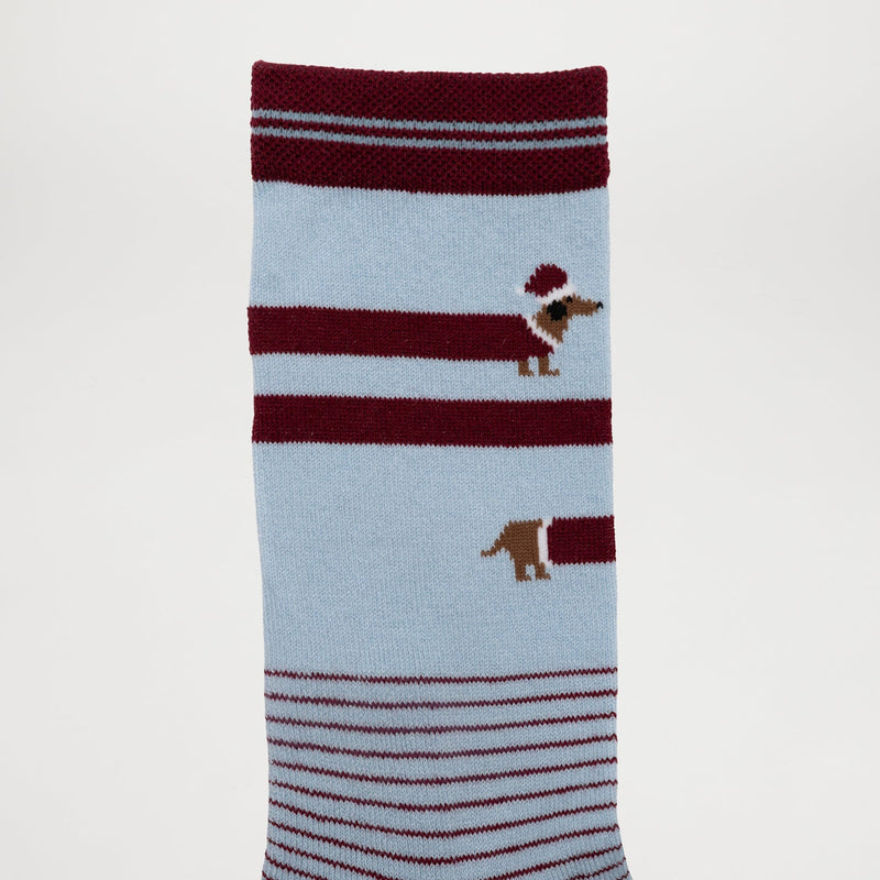 Best Mate Collection Pack