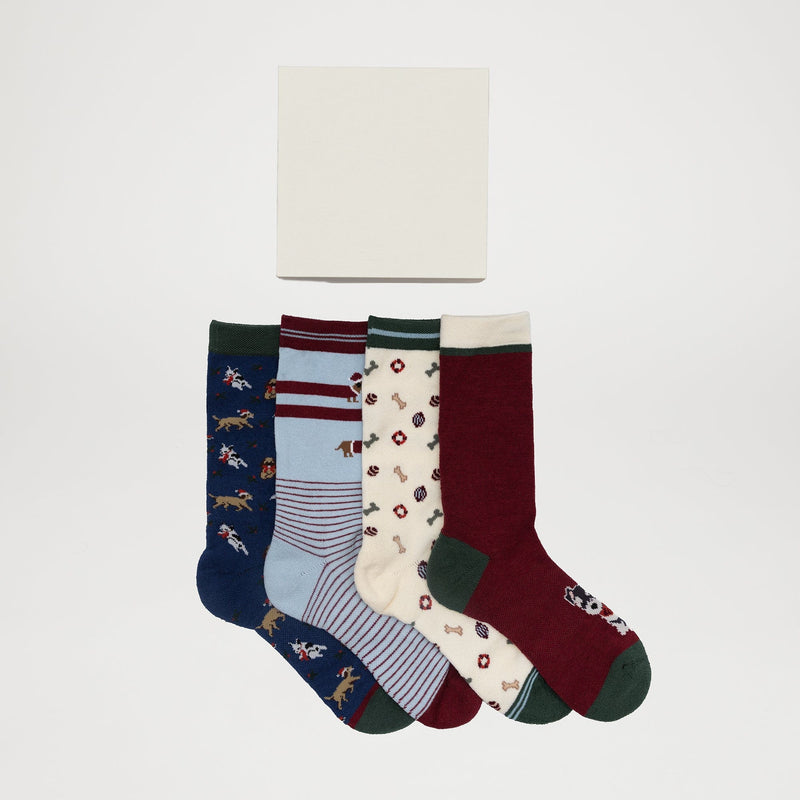 (Special) Xmas Socks Pack